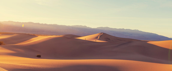 Fototapeta na wymiar Sand dune