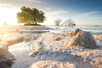 Sea view from tropical beach with sunny blue sky, Tropical beach relax, Tropical sea in Pattaya, Summer beach with blue sea water, Paradise beach and summer sea, Ocean beach relax, outdoor travel...