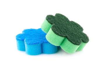 Sponges