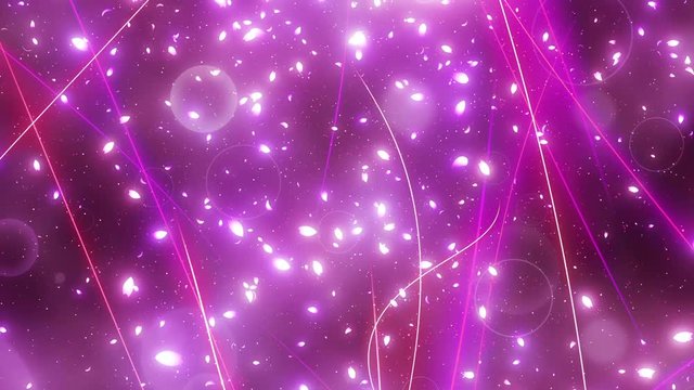 光の軌跡と桜花びら
