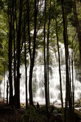 Waterfall in Tasmania