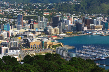 Fototapeta na wymiar Wellington aerial view
