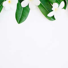 green leaf pattern on white background. flat lay header