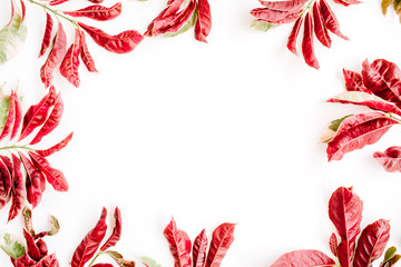 red leaves frame on white background. flat lay.