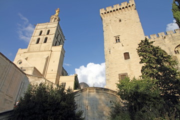 Fototapeta premium Avignon, France