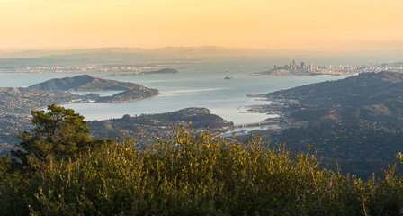 Aerail View of Bay Area