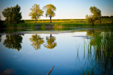 Reflections of green trees, blue sky and clouds in the calm water lake