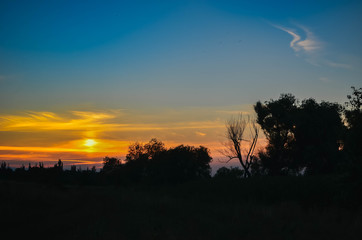 sunset on the lake with trees and other plants
