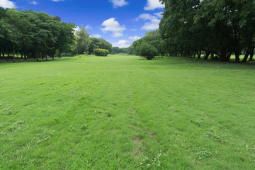 Green park at Vachirabenjatas Park (Rot Fai Park) Bangkok, Thailand