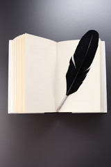Book and feather