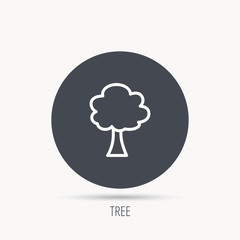 Tree icon. Forest wood sign. Nature environment symbol. Round web button with flat icon. Vector