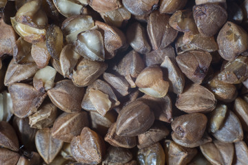 Buckwheat is scattered on the table.