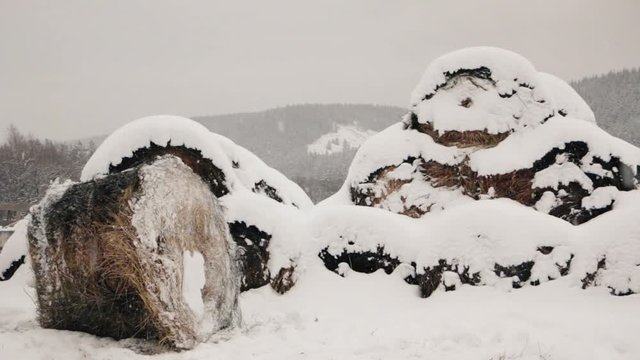 Haystacks in the snow at winter