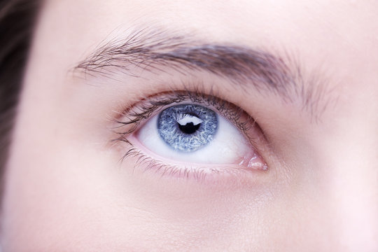 Close up image of insightful look blue human eye
