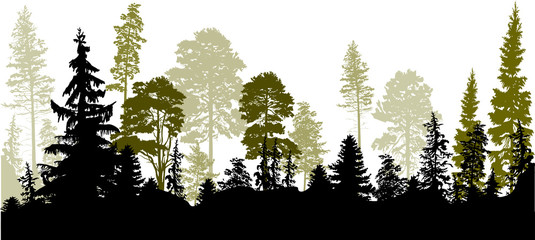 dark coniferous forest panorama on white © Alexander Potapov