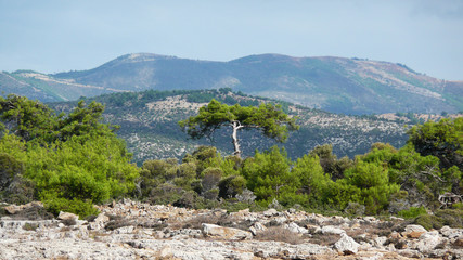Krajobraz - skaliste pagórki  (Wyspa Thassos) © kurtz_88