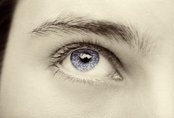 Close up image of insightful look blue human eye
