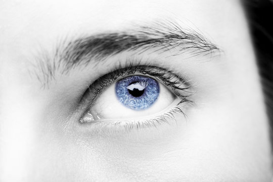 Close up image of insightful look blue human eye