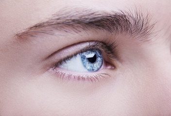 Obraz premium Zamknij się obraz wnikliwy wygląd niebieskie oko ludzkie