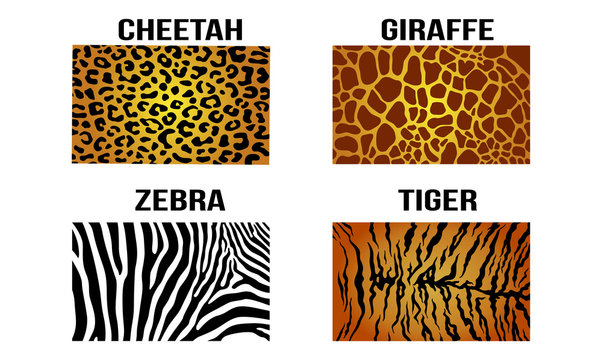 Cheetah Leopard Giraffe Zebra Tiger Vector Skin Pattern Background