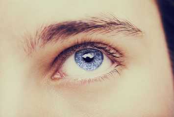 Fototapeta premium Close up image of insightful look blue human eye