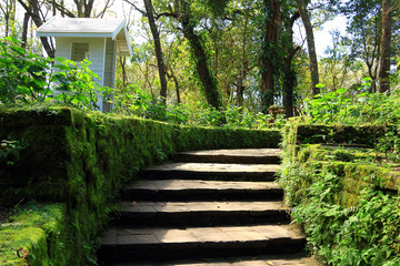 stone stairs leading up to garden in the park