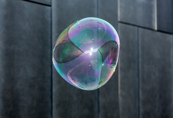 The transparent, iridescent soap bubbles  on black background
