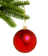 Red Christmas decor ball on green tree isolated on white backgro