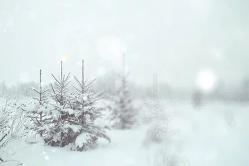 Crédence de cuisine en verre imprimé Hiver blurred background small Christmas trees with snow winter