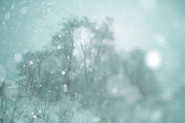 Winter forest blurred background snow landscape