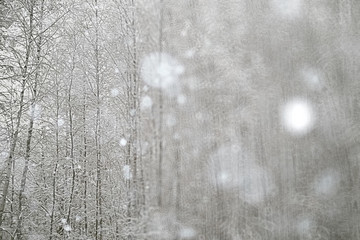 Fototapeta premium blurred background winter snow gloomy depression