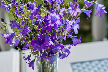 Simple bouquet of wild flowers in a glass vase, standing on the table for romantic mood