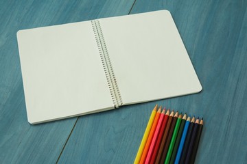 Fototapeta na wymiar Open blank notebook