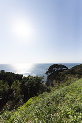 View of Enoshima Island From the Observation Deck at Samuel cocking garden - Kamakura, Japan