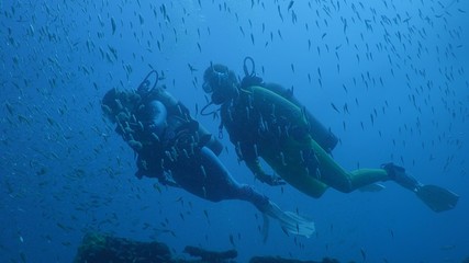 Diver swims in a wreck with a large school of fish tomates grunts, Haemulon aurolineatum, North Carolina, Aug. 2016