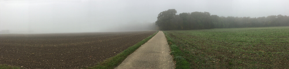 Fototapeta na wymiar farmland on a misty day