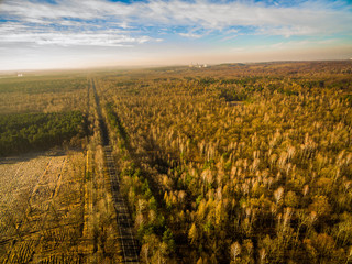 Karczowanie lasu panorama