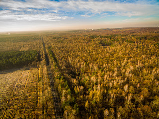 Karczowanie lasu panorama © BlackMediaHouse