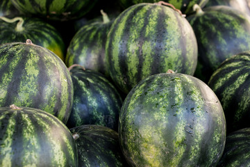 The watermelon background.