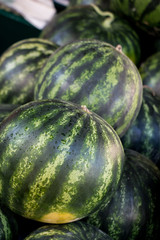 The watermelon background.