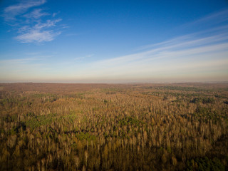Panorama las mysłowice © BlackMediaHouse