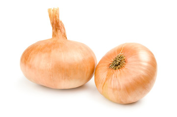 Ripe onion isolated on a white background cutout