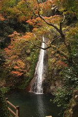 紅葉の午尾の滝