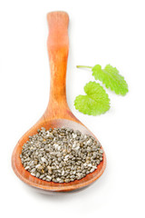 Nutritious chia seeds
