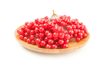 Branches of viburnum over a white background