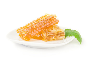 Honey bee isolated on a white background cutout