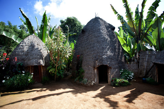 Huts of the tribe Dorze, near Arba Minch in southern Ethiopia. 