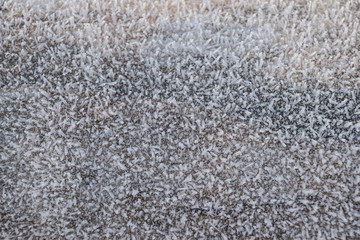 Hoarfrost on tree trunk surface
