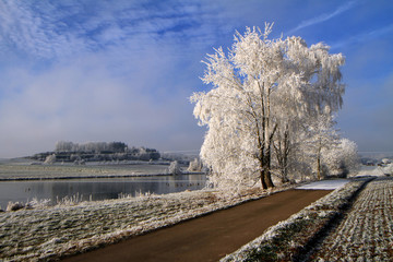 Winterlandschaft, Raureif