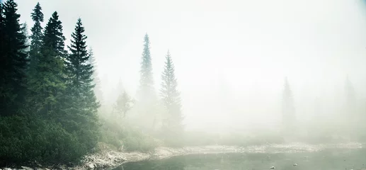 Foto op Plexiglas Een prachtig bergmeer in een mist in Tatry, Slowakije. Retro-stijl met lage verzadiging © dachux21